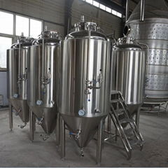 500L/1000L beer fermentation tank