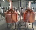 Craft beer equipment 500L per batch, microbrewery brewhouse 7