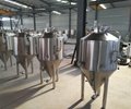 300L Craft Beer Brewing Equipment for Pub 6