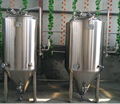 1000L Stainnless steel beer conical fermenter 3