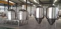 500L conical beer fermenter / stainless steel beer fermentor 5
