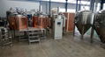 500L craft beer brewing equipment/microbrewery for pub 3