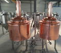 500L craft beer brewing equipment/microbrewery for pub