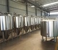  Conial beer fermenter/ fermentation tank 2