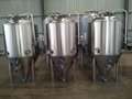  Conial beer fermenter/ fermentation tank 3