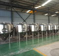 1000L Beer Brewing System / Microbrewery for Sale 6