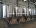 1000L Beer Brewing System / Microbrewery for Sale 7