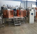 500L Hotel beer brewery equipment, craft beer making machine