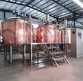Microbrewery, craft brewing equipment 5bbl brewing tank 4