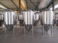 Microbrewery, craft brewing equipment 5bbl brewing tank 7