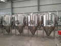 1000L Beer fermenting vessels, fermentation tank 2