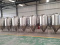 1000L Beer fermenting vessels,