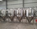 Microbrewery, craft brewing equipment 5bbl brewing tank 5