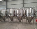 Microbrewery, craft brewing equipment 5bbl brewing tank