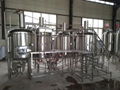 Microbrewery, craft brewing equipment 5bbl brewing tank 1