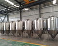 Gas fired 6bbl brewing system, beer brewery equipment 6