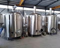 Gas fired 6bbl brewing system, beer brewery equipment