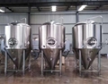 Gas fired 6bbl brewing system, beer brewery equipment