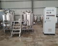 250L Craft beer brew tank, Microbrewery equipment 2