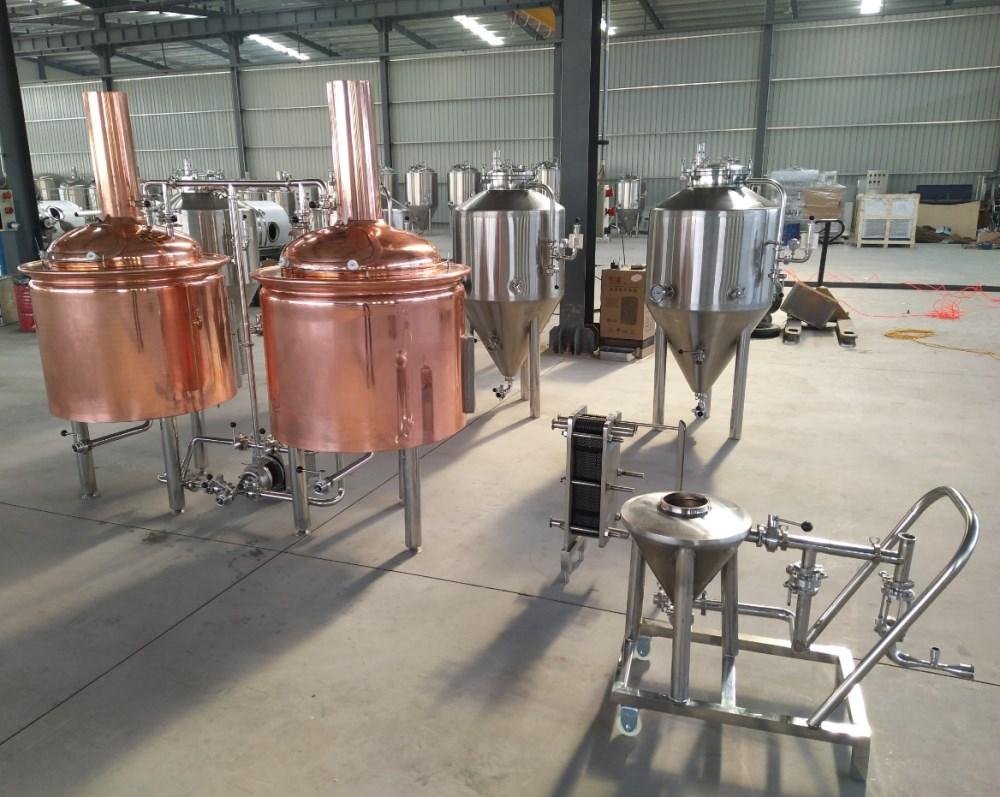 250L Craft beer brew tank, Microbrewery equipment 3