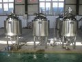 250L Craft beer brew tank, Microbrewery equipment 4
