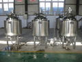 250L Craft beer brew tank, Microbrewery equipment