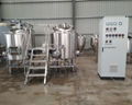 200L micro brewery equipment, small brewpub 2