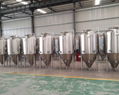 1200L brewing fermenter / stainless steel beer fermentation tank 3
