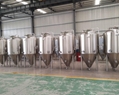 1200L brewing fermenter / stainless steel beer fermentation tank 3