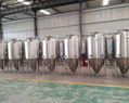 1200L brewing fermenter / stainless steel beer fermentation tank