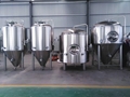 500L fermentation tank for sale / beer conical fermenter 4