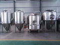 500L fermentation tank for sale / beer conical fermenter