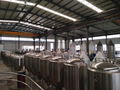 Craft beer brewery equipment, pub brewing machine, beer manufacturing tank 9