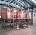 Craft beer brewery equipment, pub brewing machine, beer manufacturing tank 10