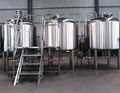 Pub beer brewing equipment 5HL craft brewery machinery  6