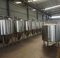 7bbl brewery beer machine /direct gas fired brewing equipment 