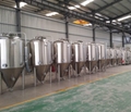 7bbl brewery beer machine /direct gas fired brewing equipment 