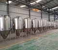 500L Restaurant Brewery Equipment / Beer Brewing Equipment for Sale 6