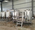 300L Mini beer brewing equipment / microbrewery for pub 3