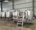 300L Mini beer brewing equipment / microbrewery for pub