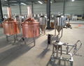 300L Mini beer brewing equipment / microbrewery for pub