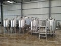 Microbrewery Equipment / 500L Beer Making Machine for Sale 3