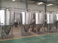 Microbrewery Equipment / 500L Beer Making Machine for Sale