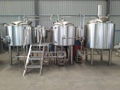 Microbrewery Equipment / 500L Beer Making Machine for Sale 2