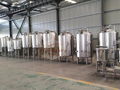 500L Micro beer equipment/beer making machine