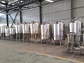 1000L Per Day Beer Brewing Equipment / Beer Brewery Machine