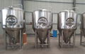 1000L Per Day Beer Brewing Equipment / Beer Brewery Machine 8