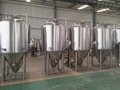 10bbl microbrewery / beer equipment restaurant for sale 6