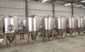 Beer fermentation tank unitank beer