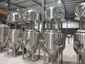 Beer fermentation tank unitank beer equipment 6